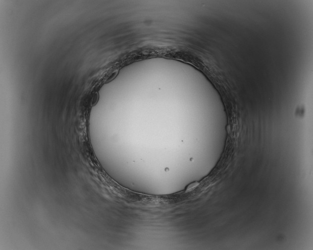 X0000115251109200911201636