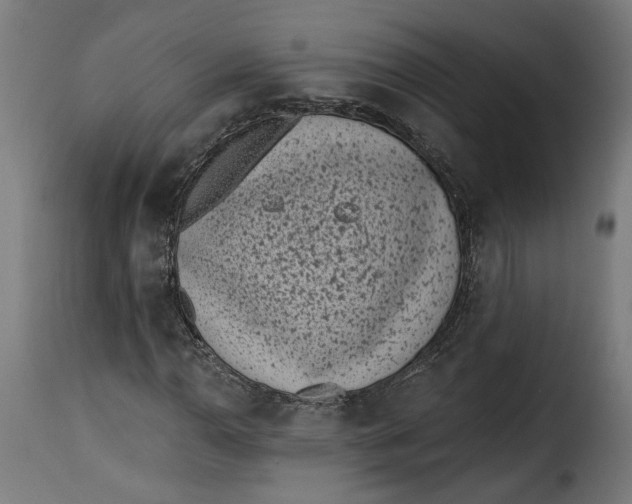 X0000115251110200911201636