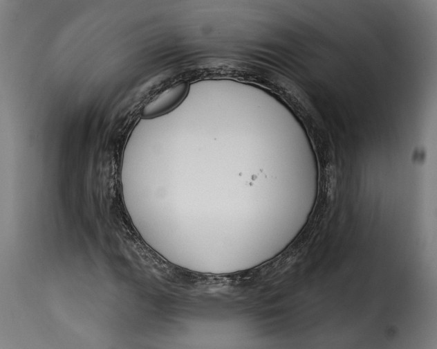 X0000115251111200911201636