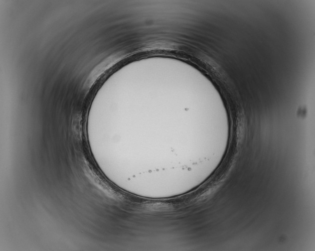 X0000115251113200911201636