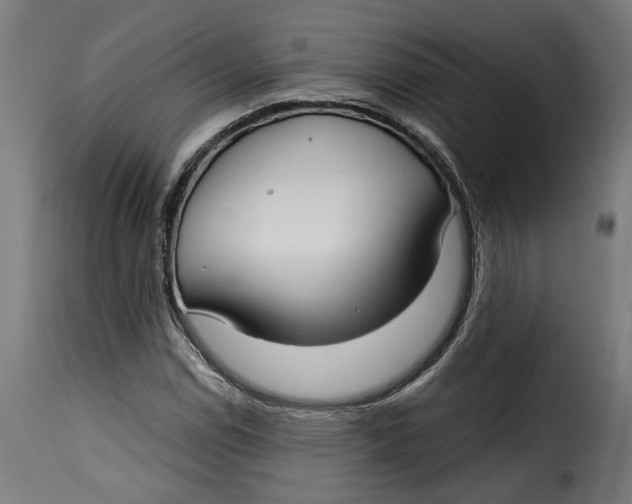 X0000115251114200911201636