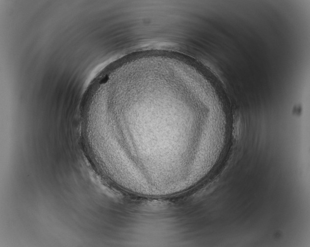 X0000115251117200911201636