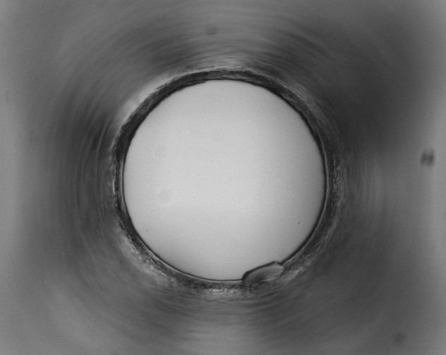 X0000115251118200911201636