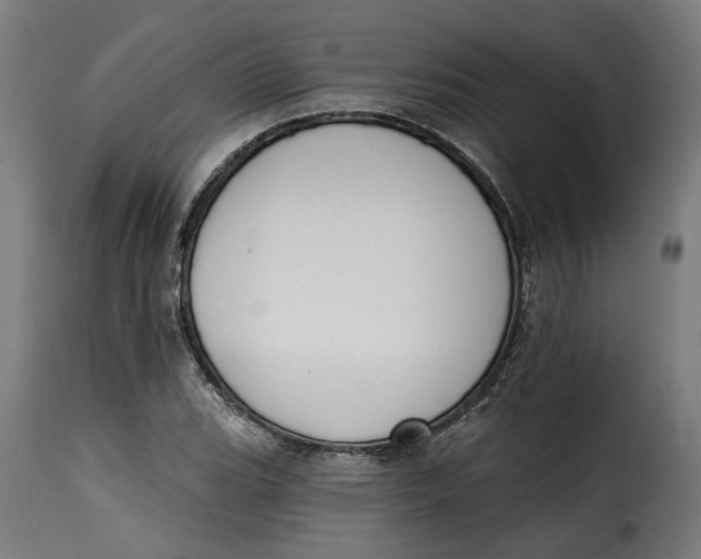 X0000115251119200911201636