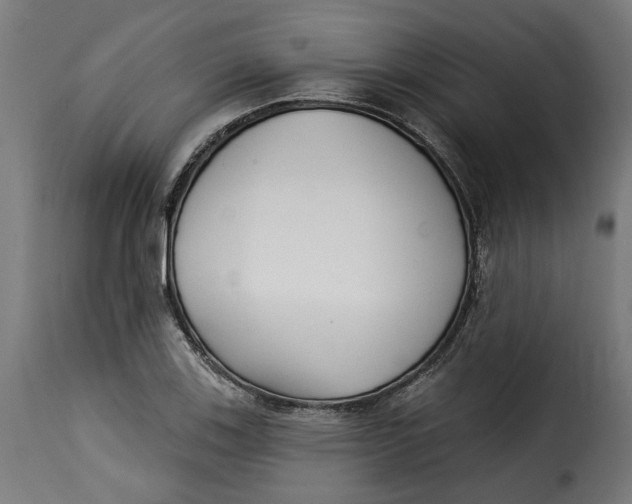 X0000115251123200911201636