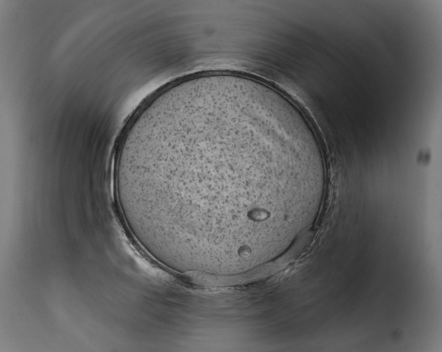 X0000115251127200911201636