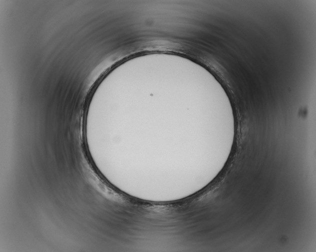 X0000115251130200911201636