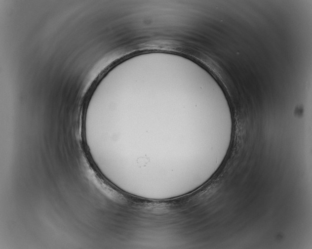 X0000115251131200911201636