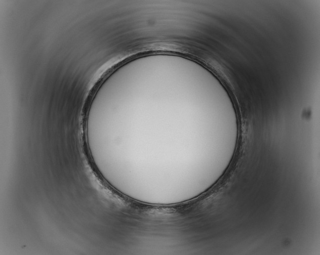 X0000115251133200911201637