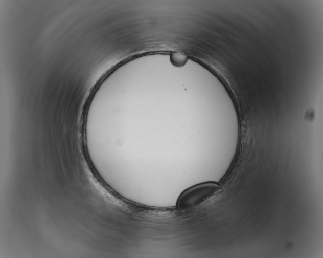 X0000115251135200911201637