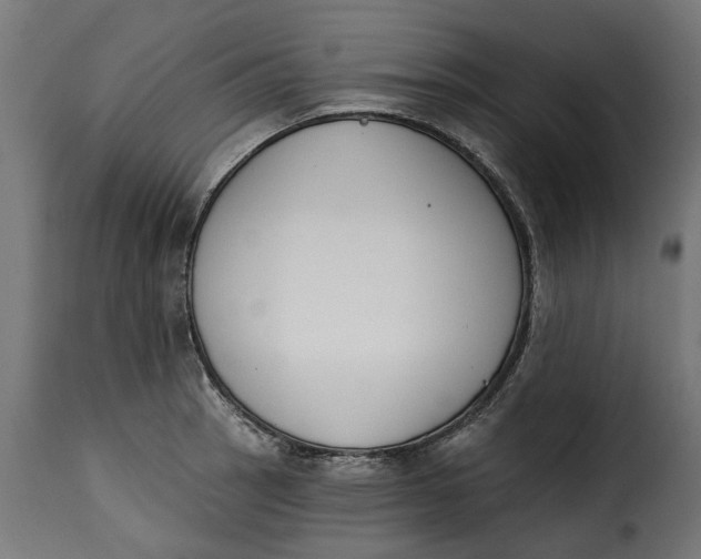 X0000115251137200911201637