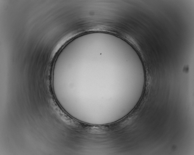 X0000115251138200911201637