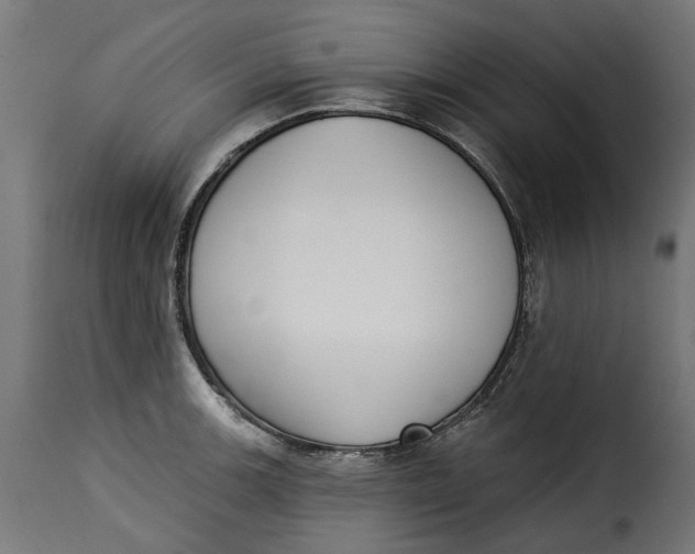 X0000115251139200911201637