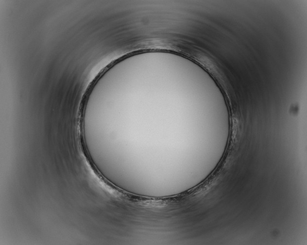 X0000115251141200911201637