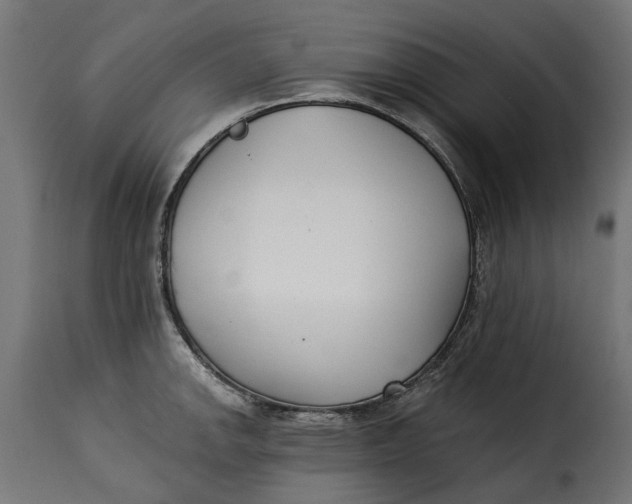 X0000115251142200911201637