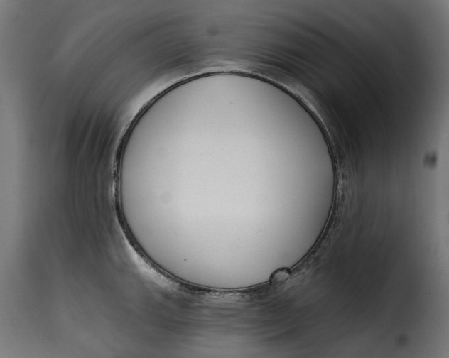 X0000115251143200911201637