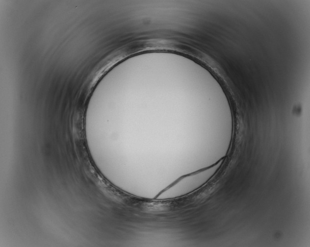 X0000115251145200911201637