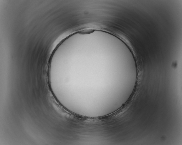 X0000115251146200911201637