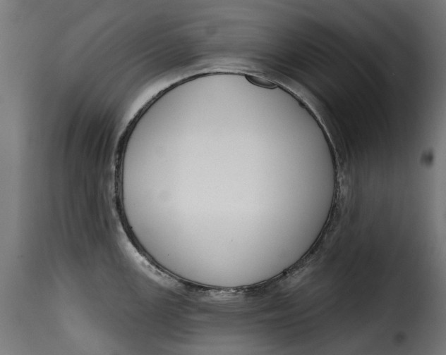 X0000115251147200911201637