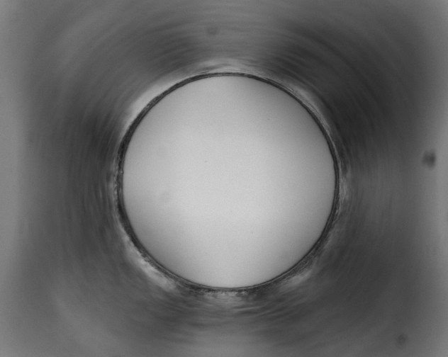 X0000115251149200911201637