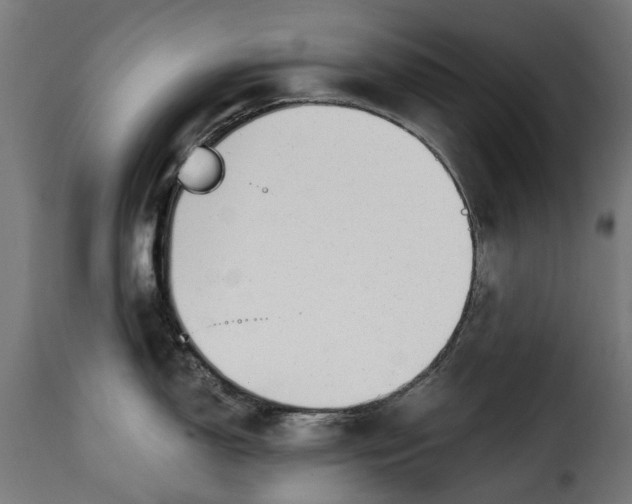 X0000115251150200911201637