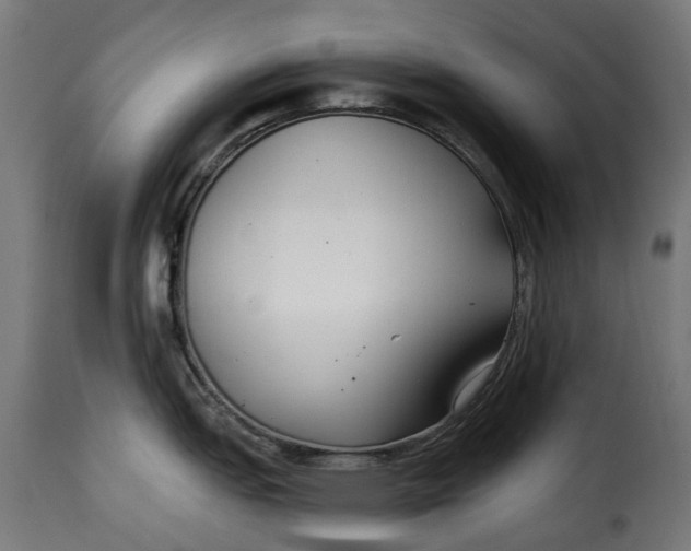 X0000115251151200911201637