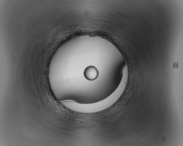 X0000115251153200911201636