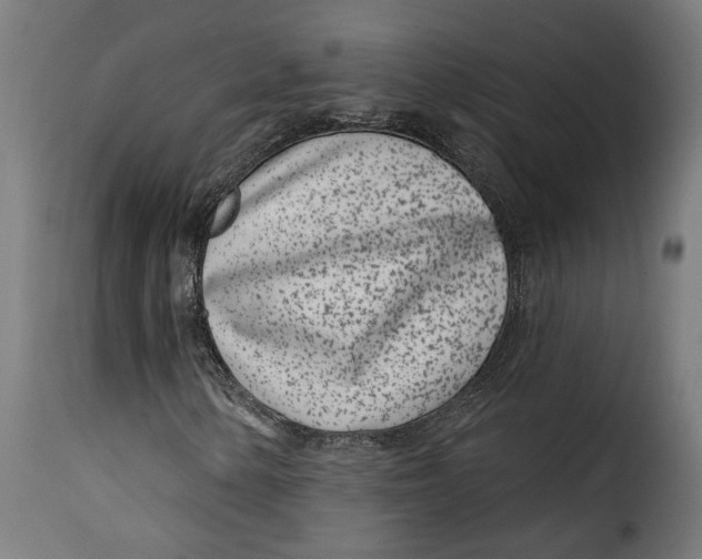 X0000115251154200911201636