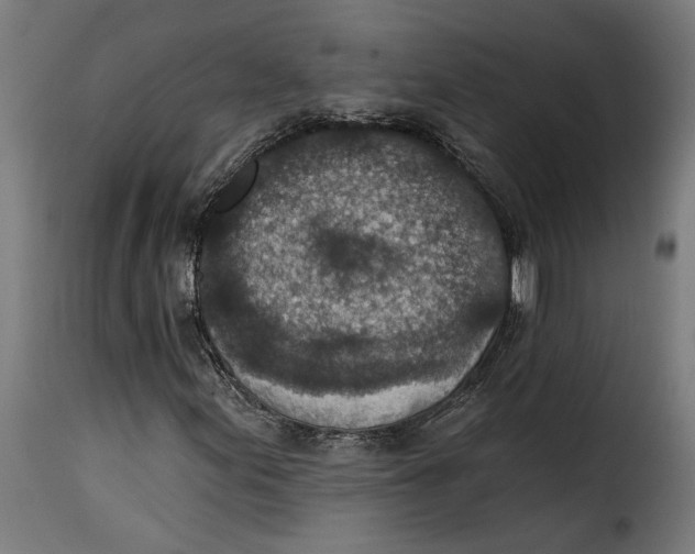 X0000115251155200911201636