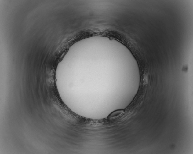 X0000115251156200911201636