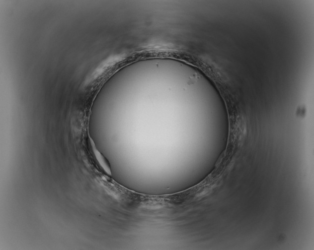 X0000115251157200911201636