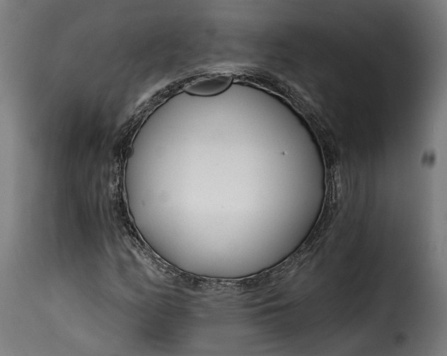 X0000115251158200911201636