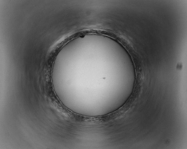 X0000115251159200911201636