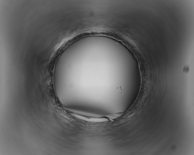 X0000115251160200911201636