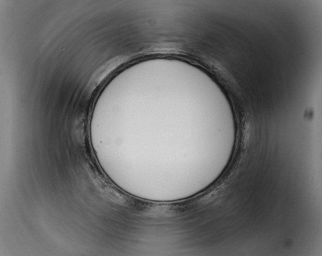 X0000115251162200911201636