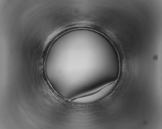 X0000115251164200911201636