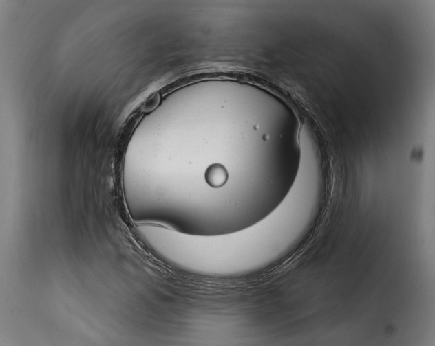 X0000115251165200911201636