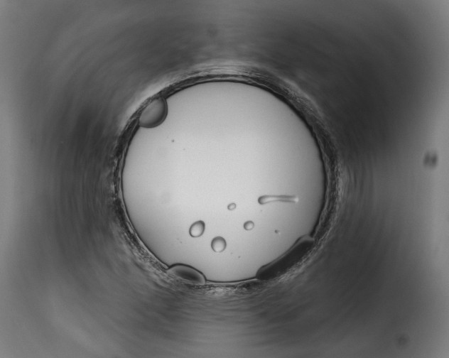 X0000115251166200911201636