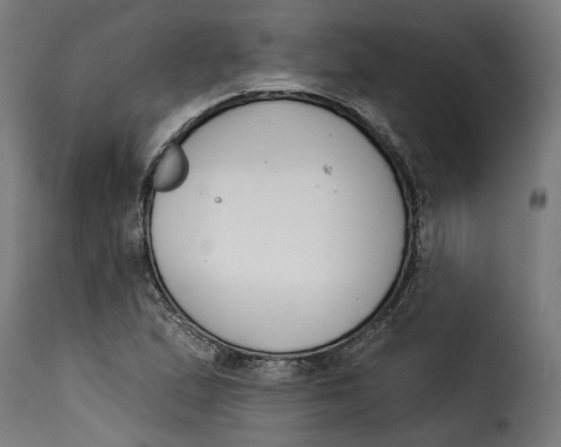 X0000115251167200911201636