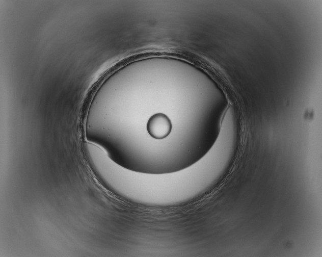 X0000115251168200911201636