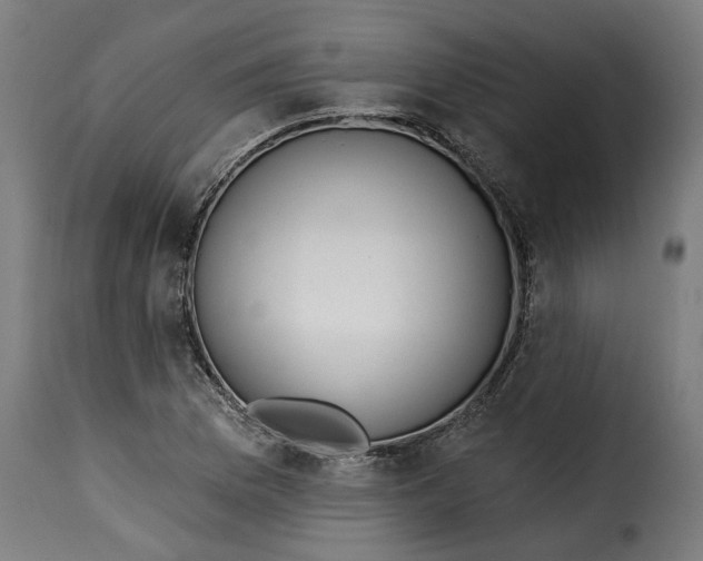 X0000115251169200911201636