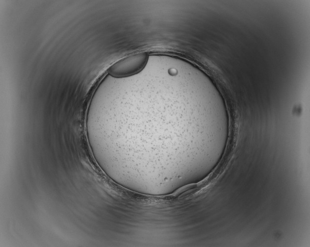 X0000115251170200911201636