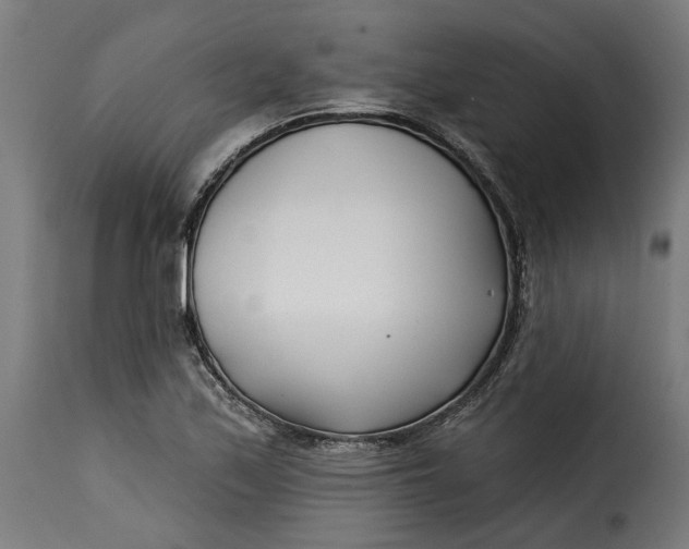 X0000115251171200911201636