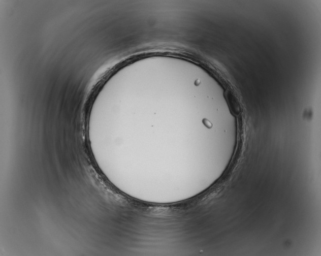 X0000115251172200911201636