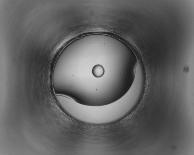 X0000115251173200911201636