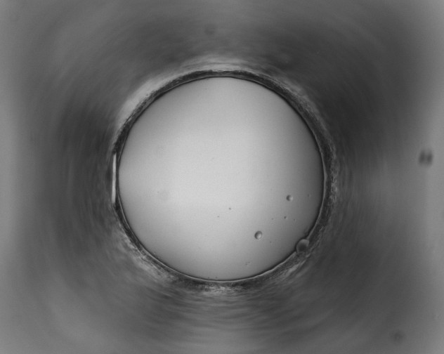 X0000115251175200911201636