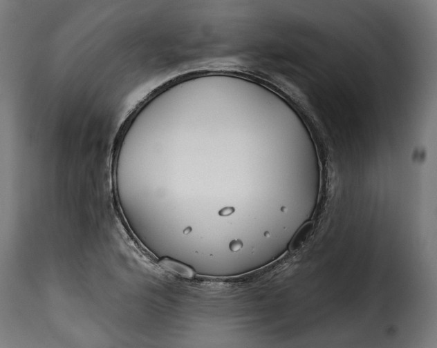 X0000115251176200911201636