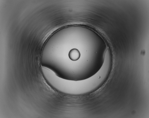 X0000115251177200911201636