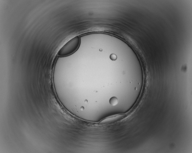 X0000115251178200911201636