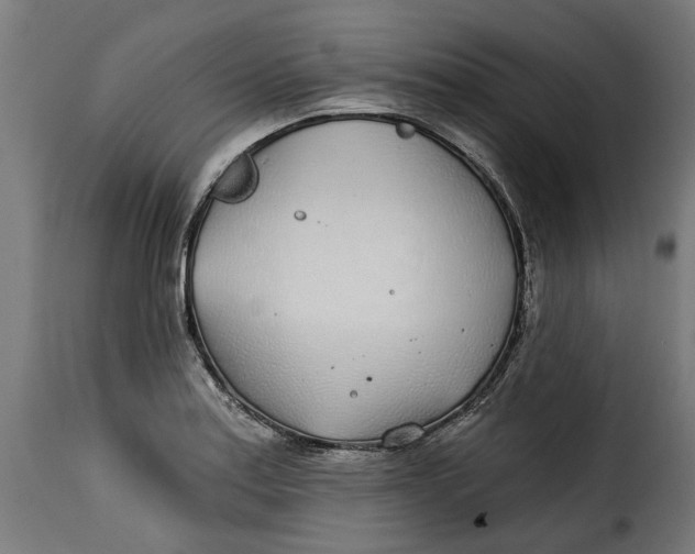 X0000115251179200911201636